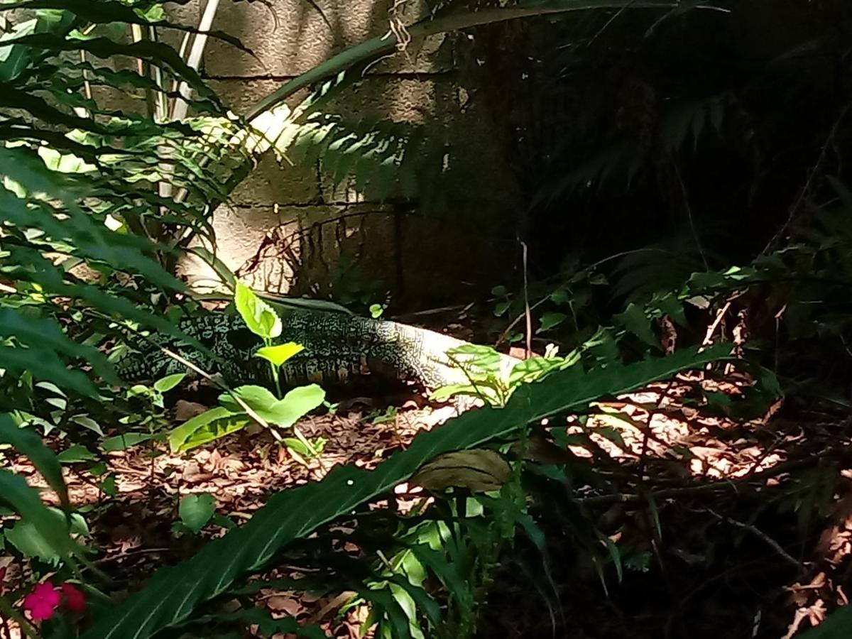 Вилла Casa Alquiler En Bombas Bombinhas Экстерьер фото